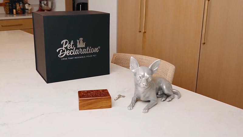 Pet Declaration urn box with a custom chihuahua figurine urn