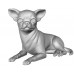 Chihuahua CHIH103