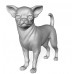 Chihuahua CHIH103