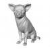 Chihuahua CHIH103