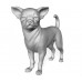 Chihuahua CHIH103